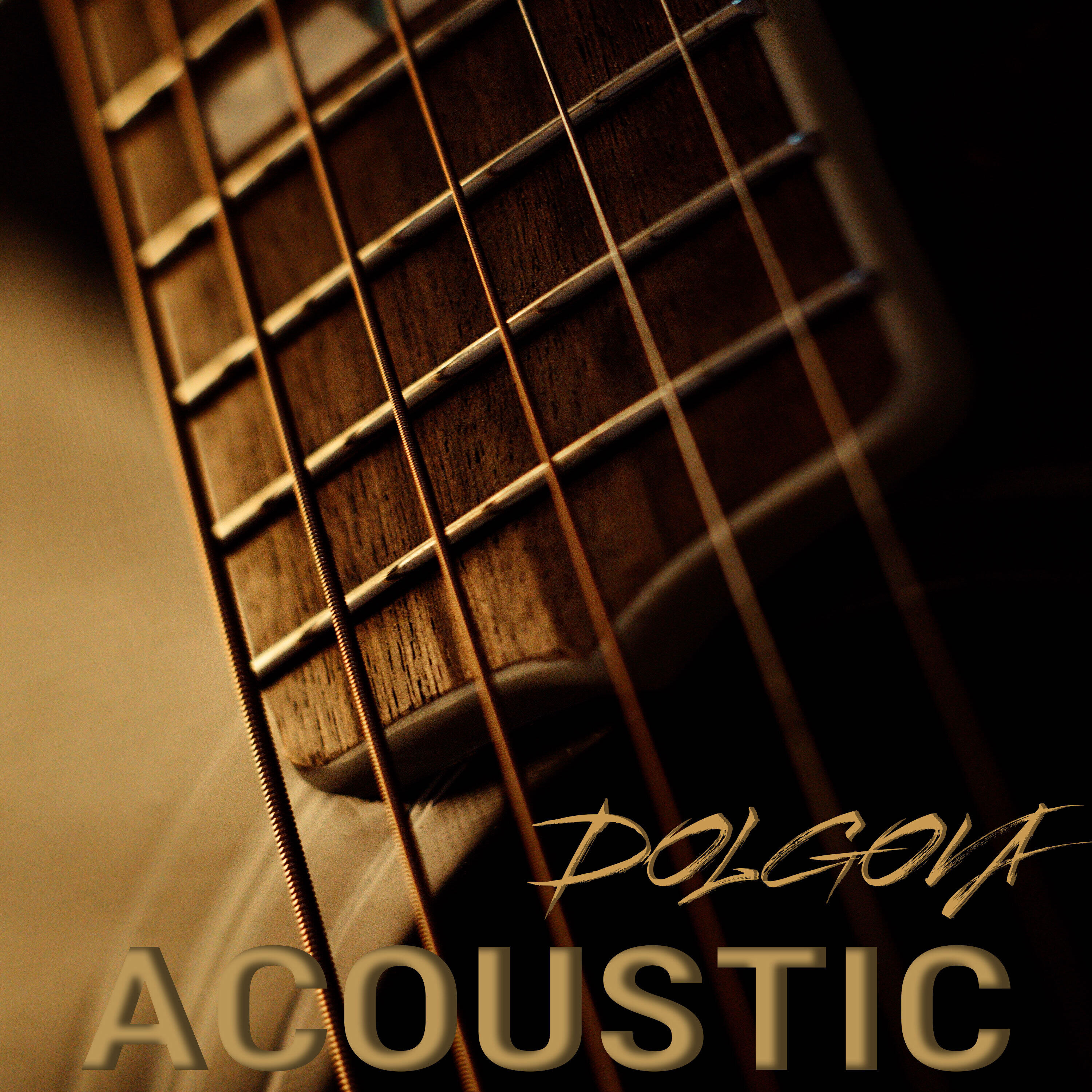 Релиз Dolgova Acoustic