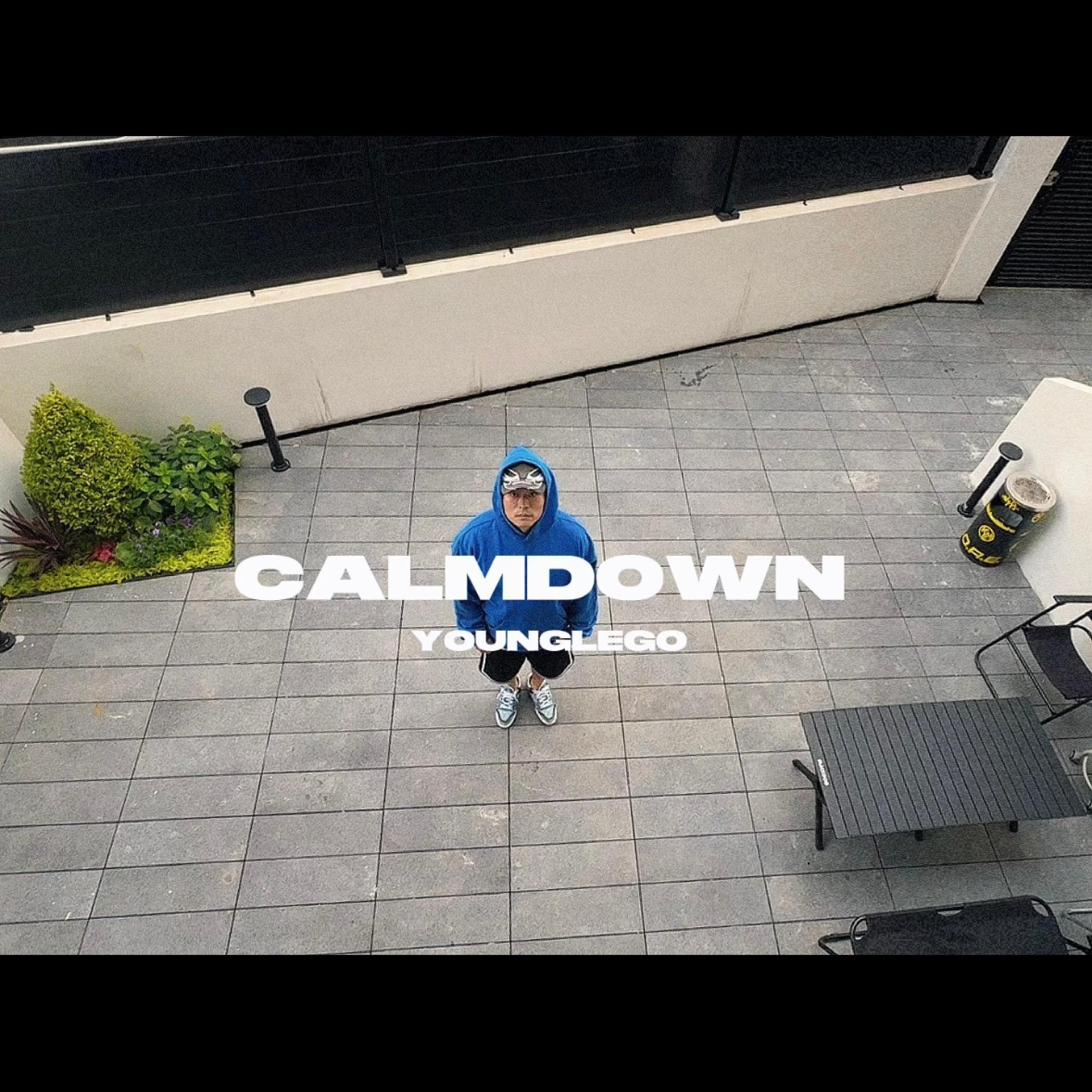 Релиз 冷静（Calm Down）