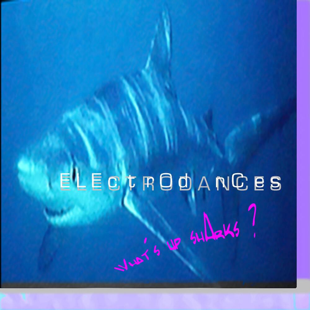 Релиз What's up Sharks?