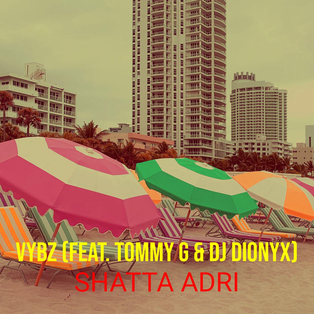 Релиз Vybz