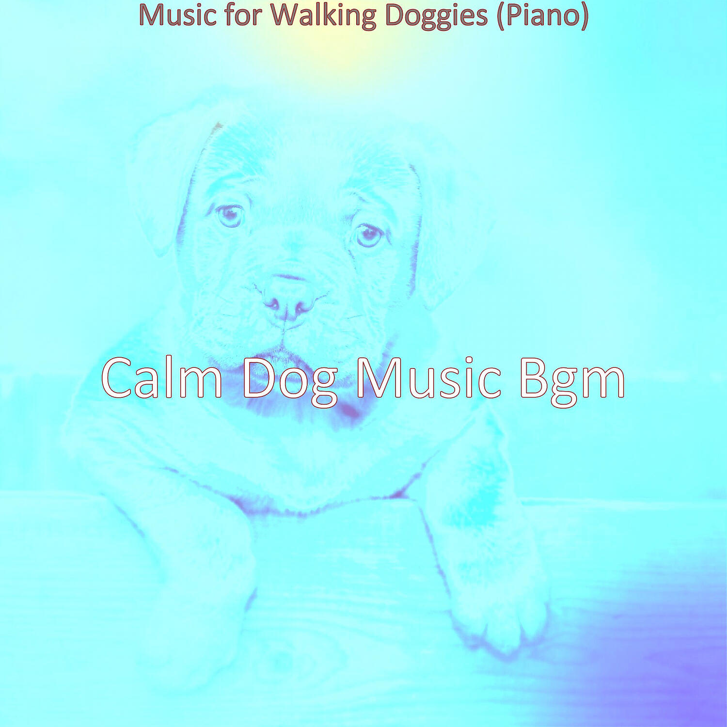 Calm Dog Music Bgm