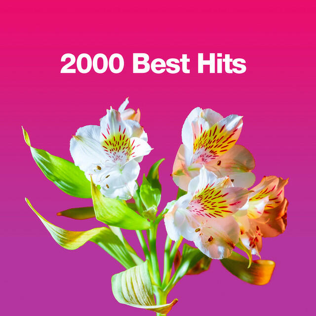 Релиз 2000 Best Hits