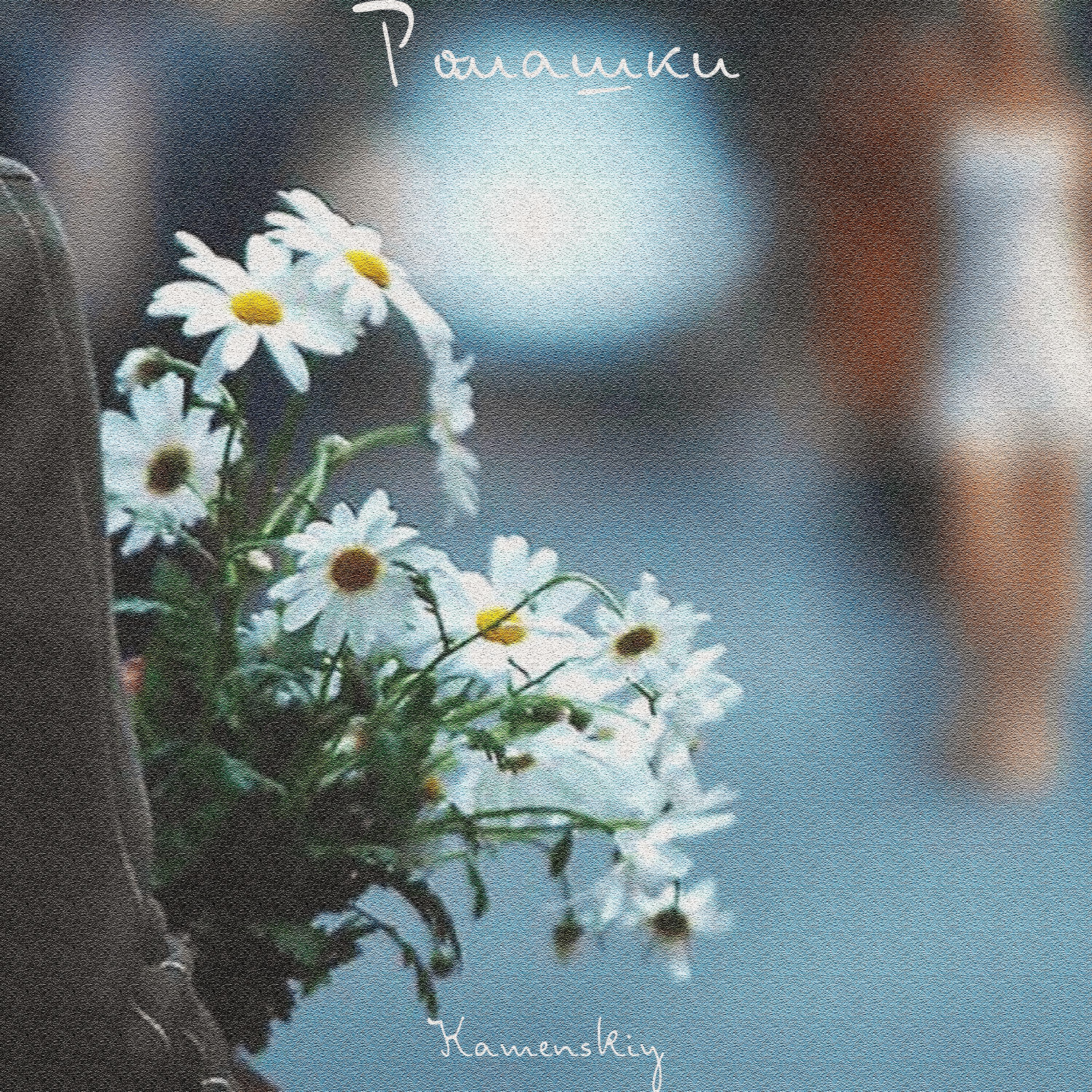 Релиз Ромашки