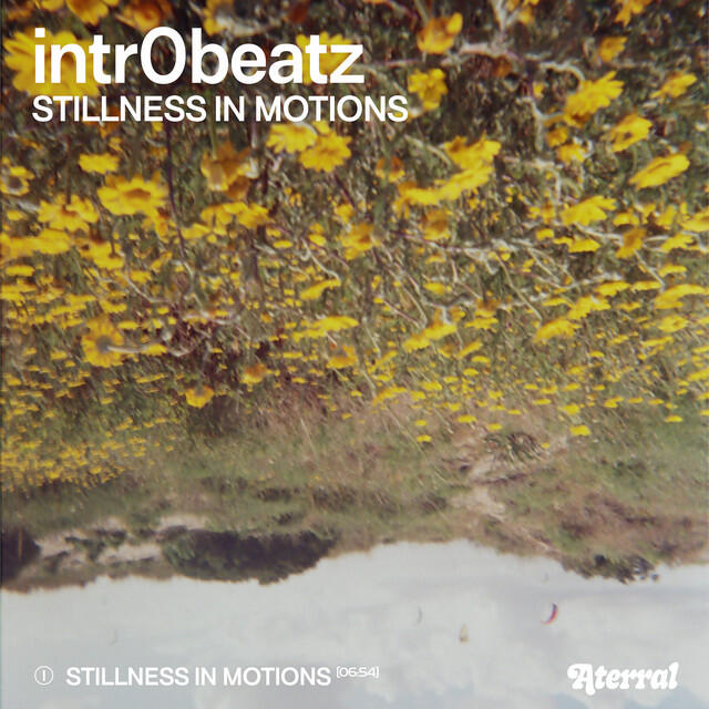 Релиз Stillness in Motions