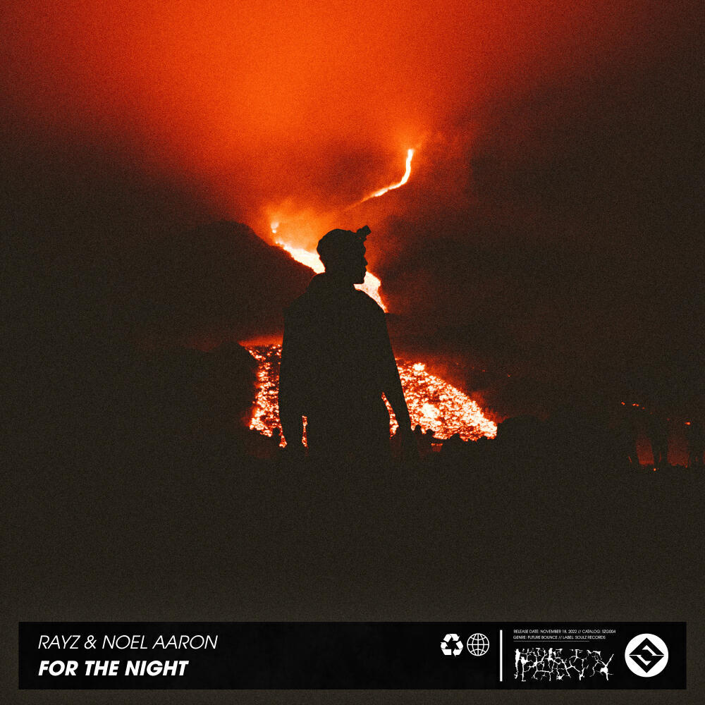 Скачать песню Rayz, Noel Aaron - For The Night бесплатно в MP3 для Android и iOS