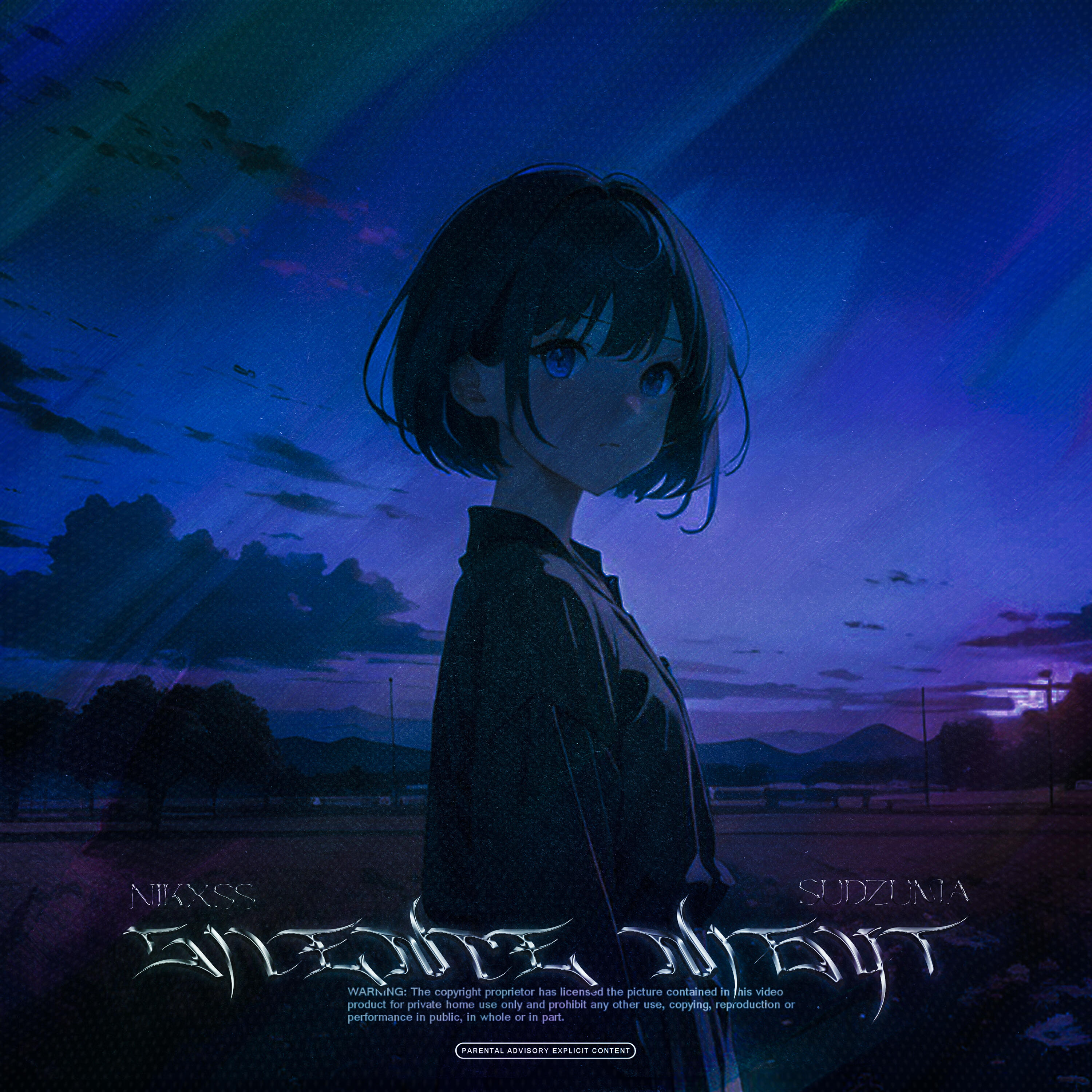 Постер альбома Silence Night