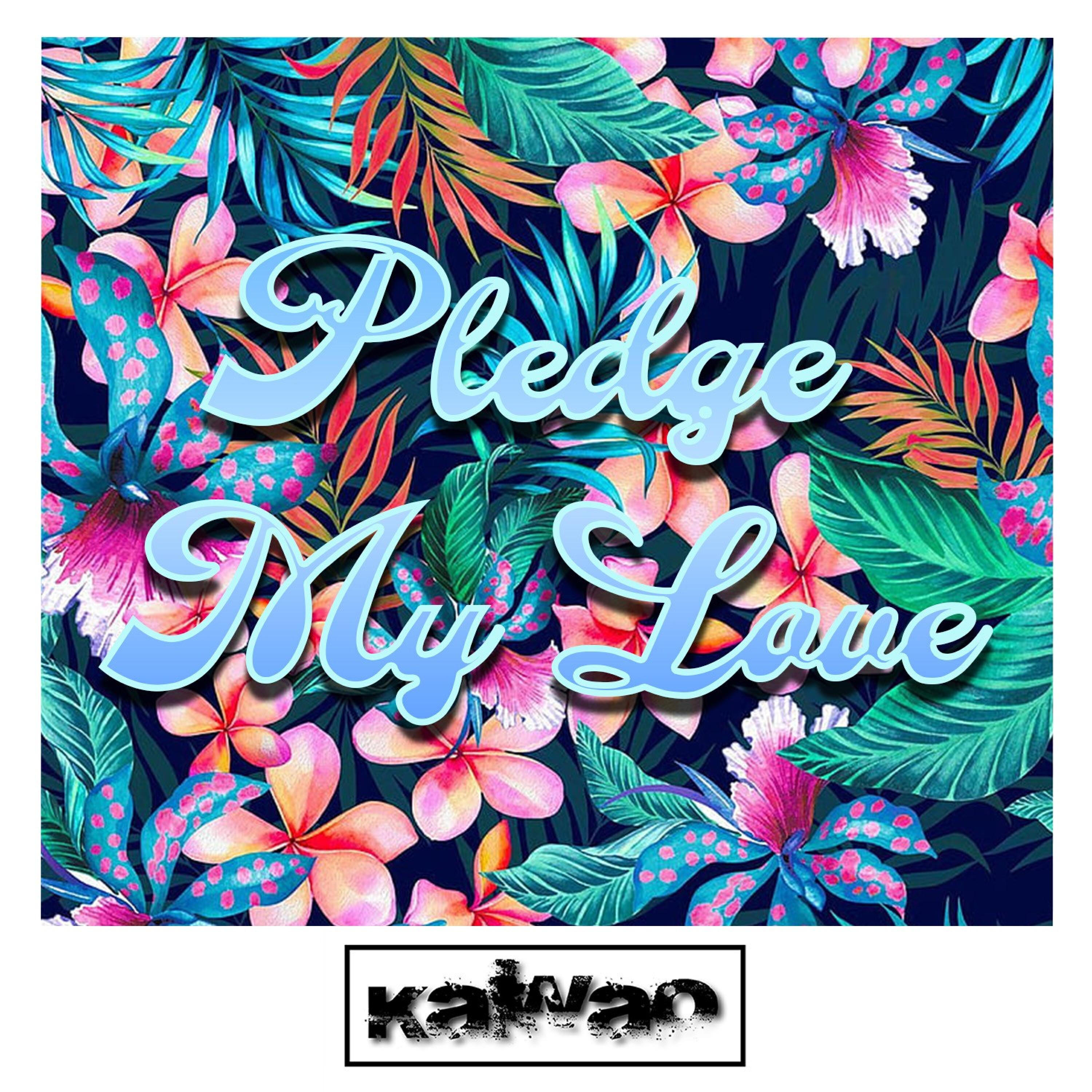Релиз Pledge My Love