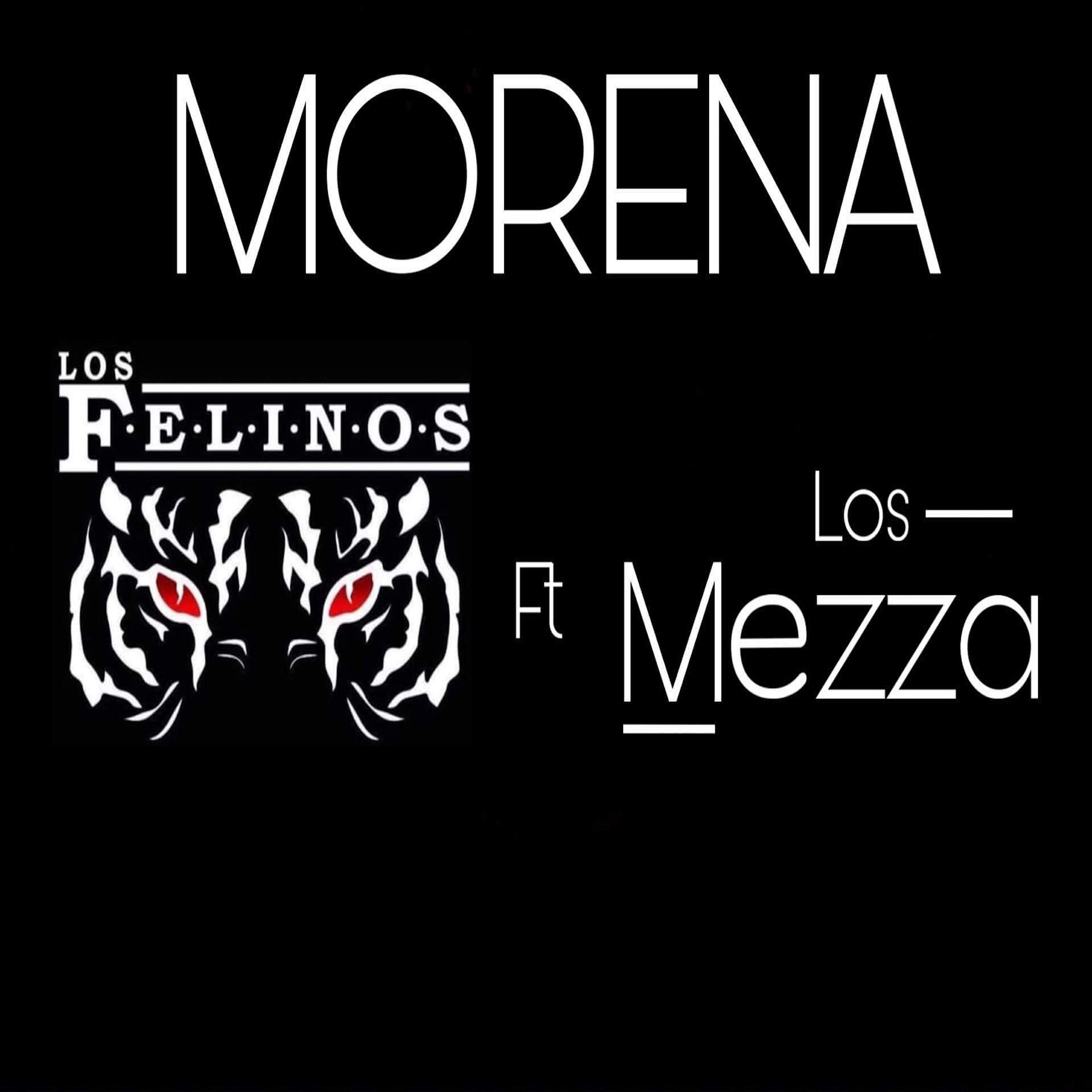 Релиз Morena