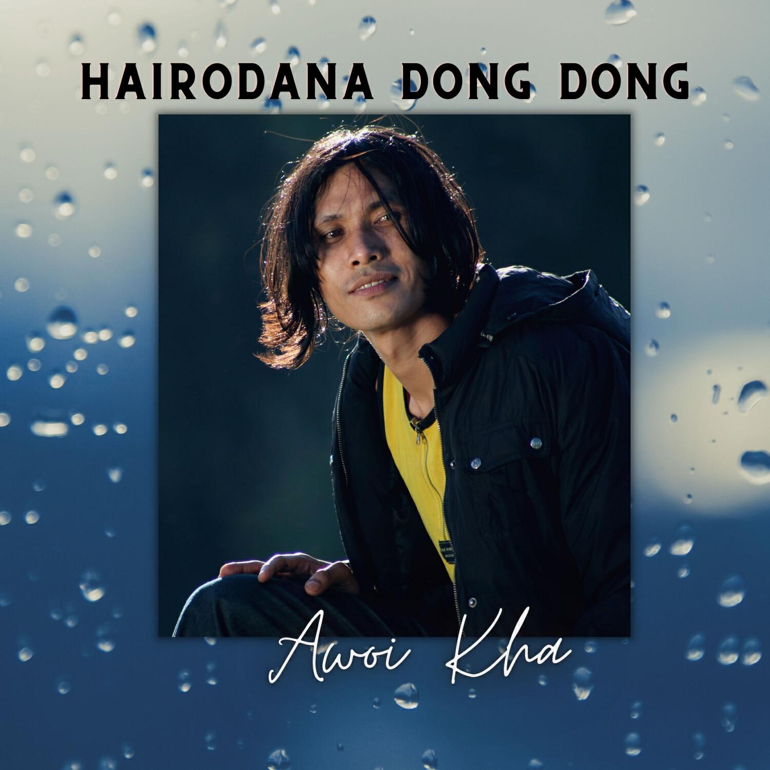 Релиз Hairodana Dong Dong
