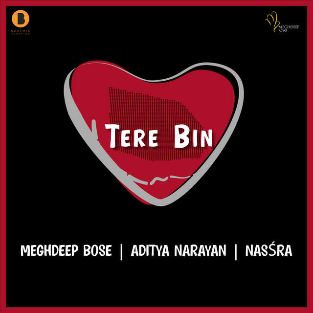 Релиз Tere Bin