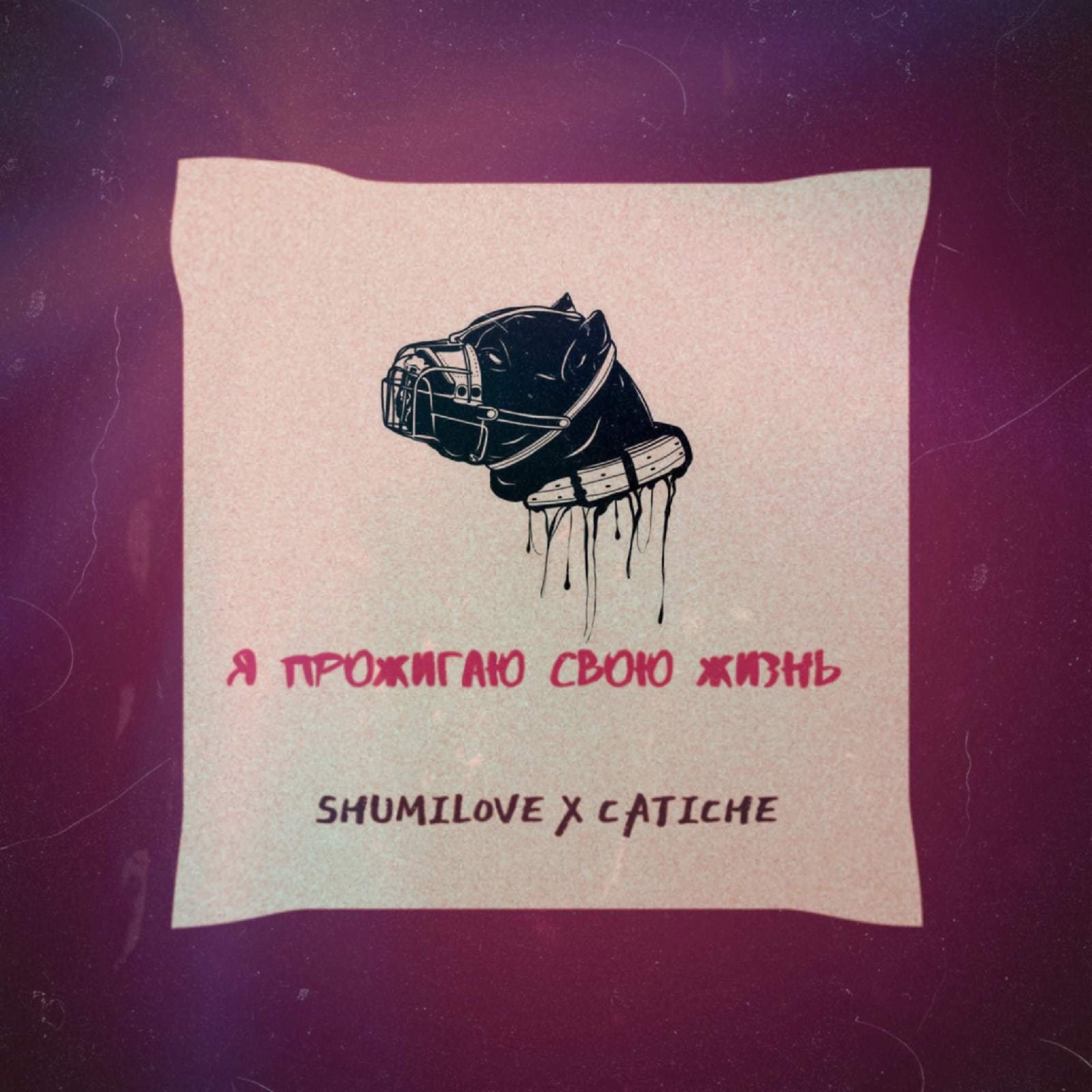 Релиз Я прожигаю свою жизнь (feat. Catiche)