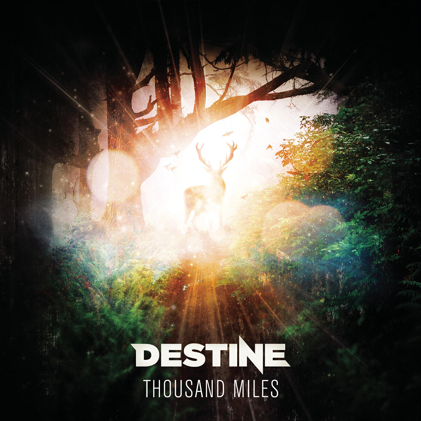 Релиз Thousand Miles