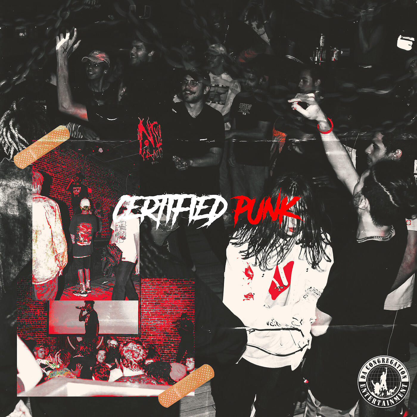 Релиз Certified Punk