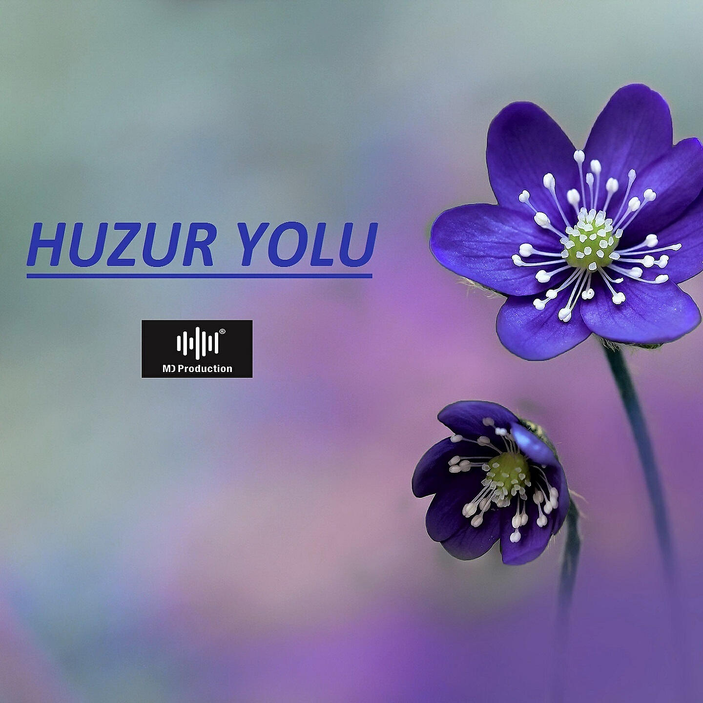 Релиз Huzur Yolu