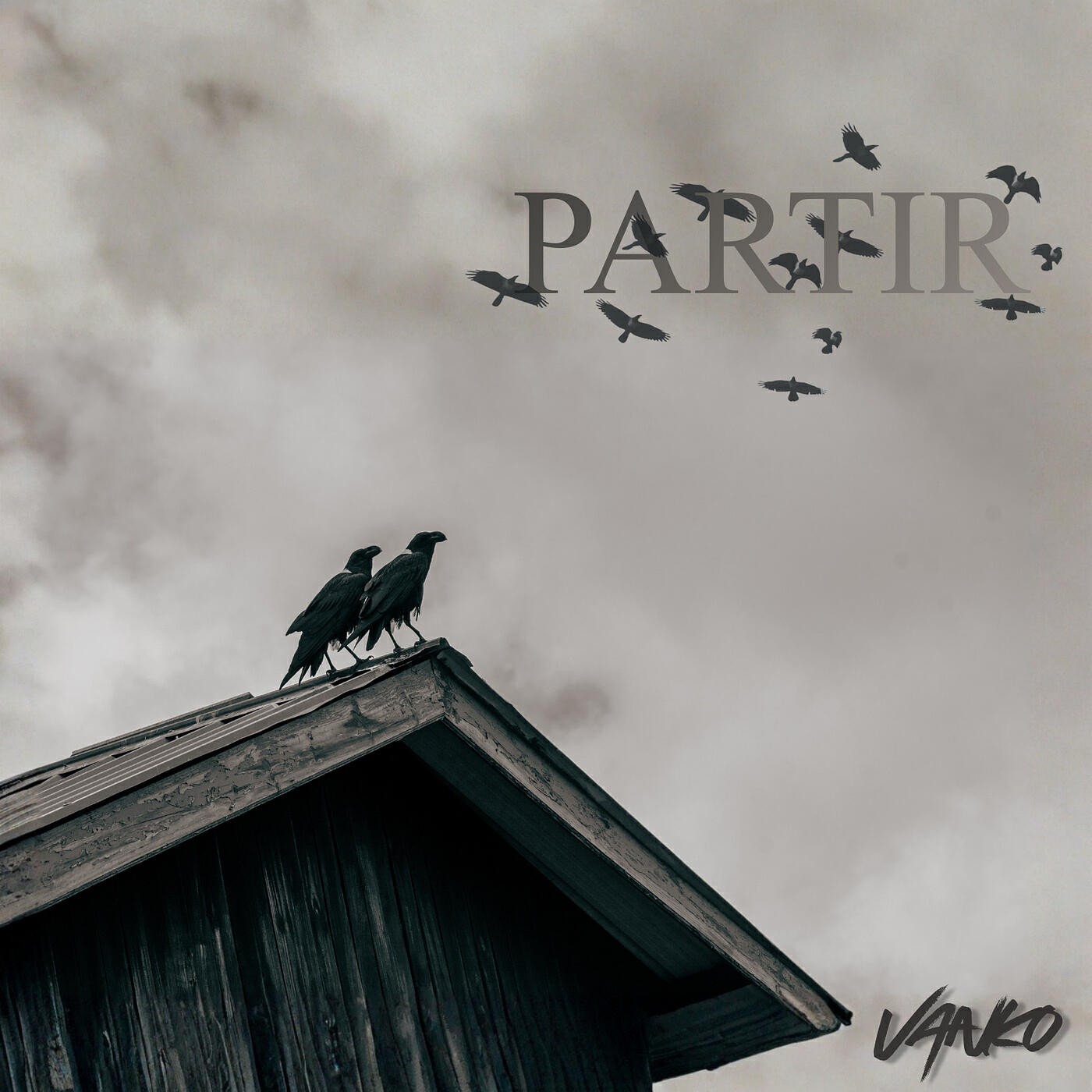 Релиз Partir