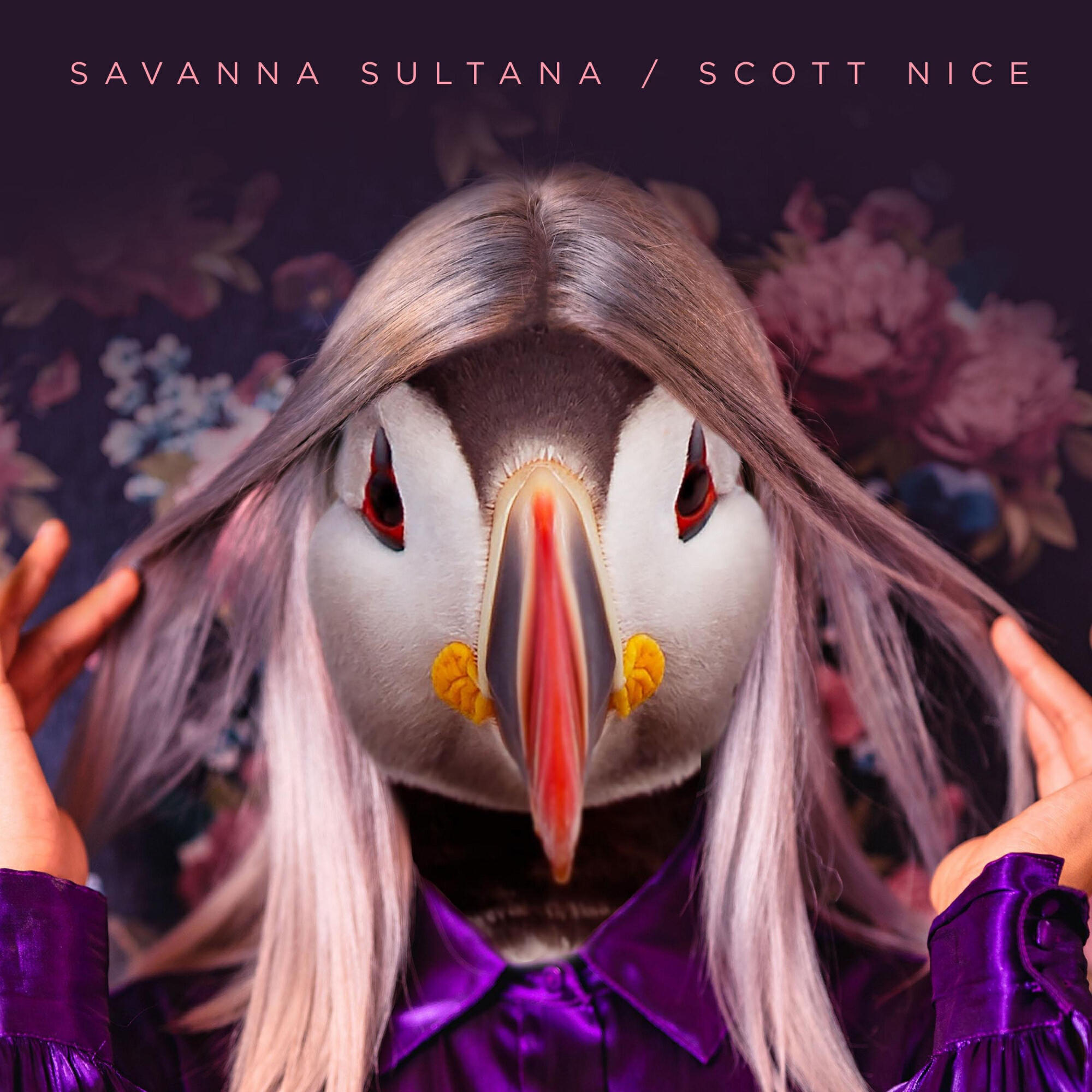 Релиз Savanna Sultana