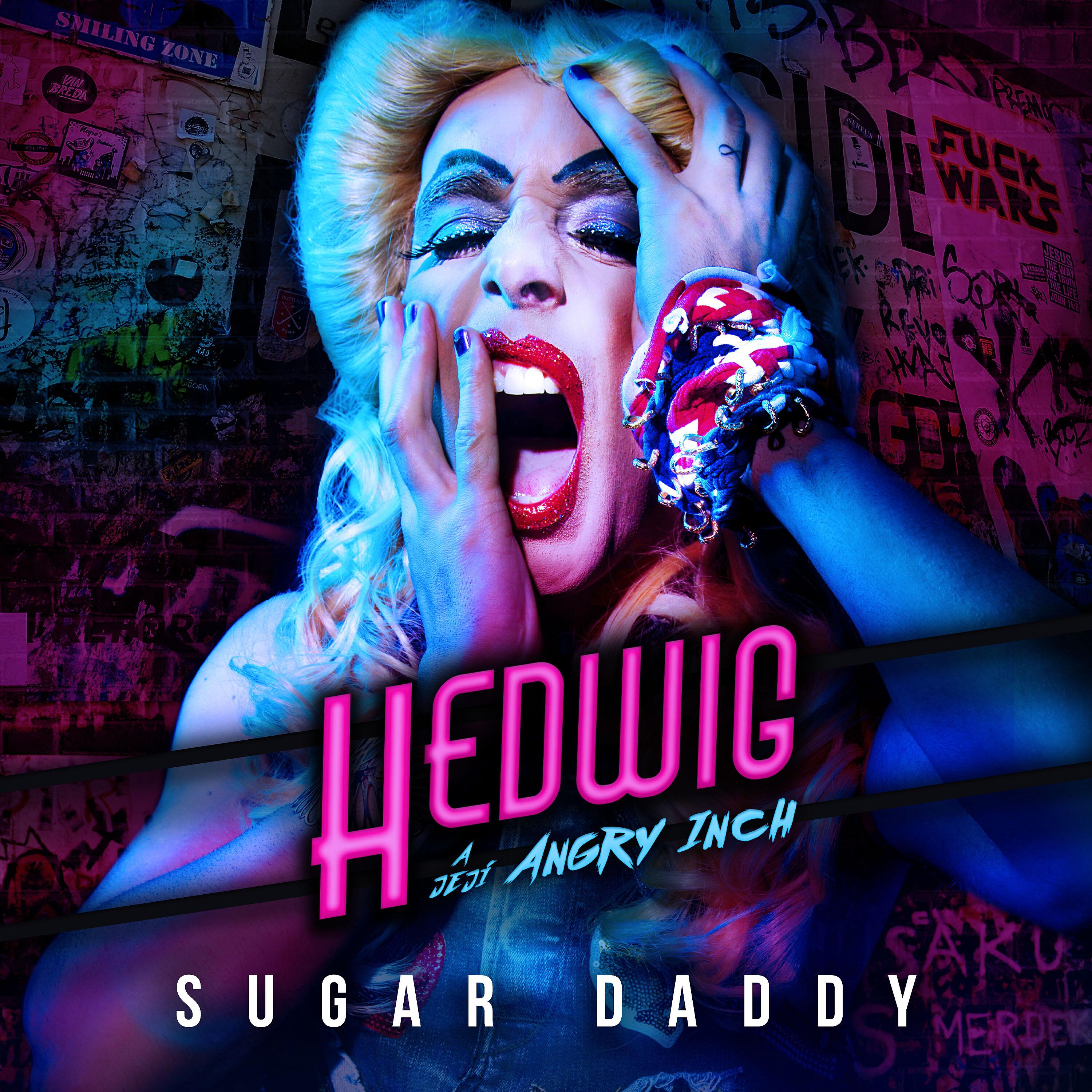 Hedwig a její Angry Inch
