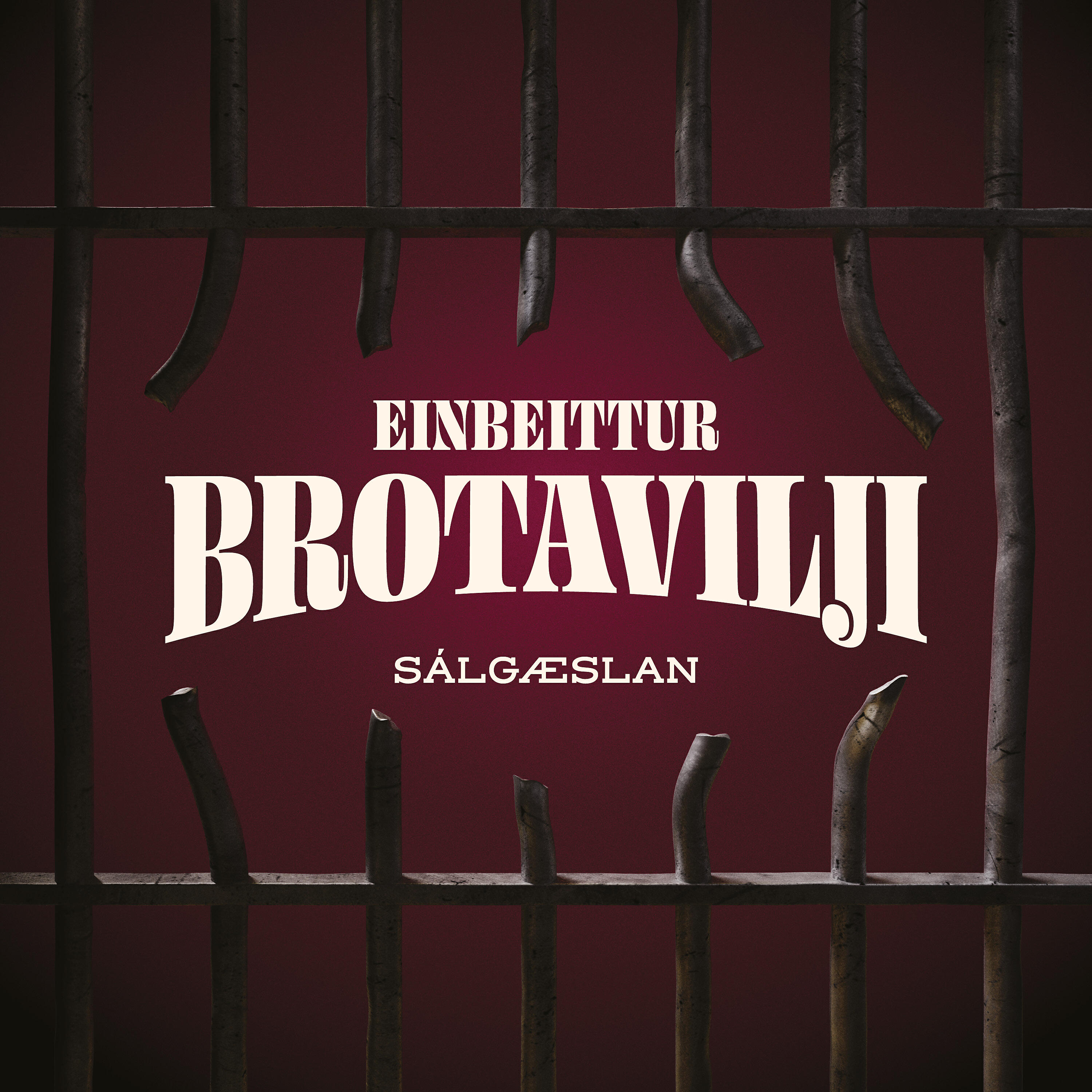 Sálgæslan