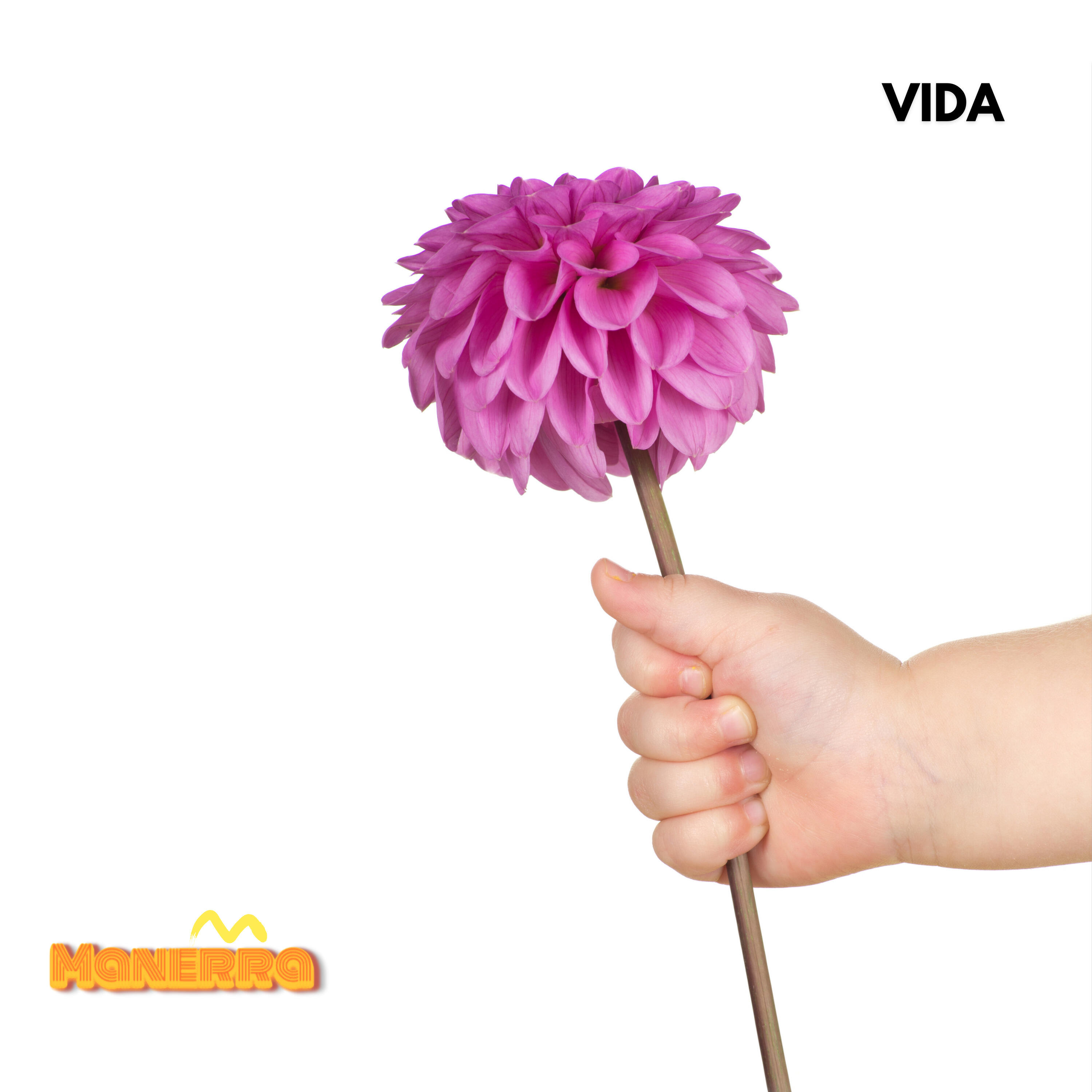 Релиз Vida