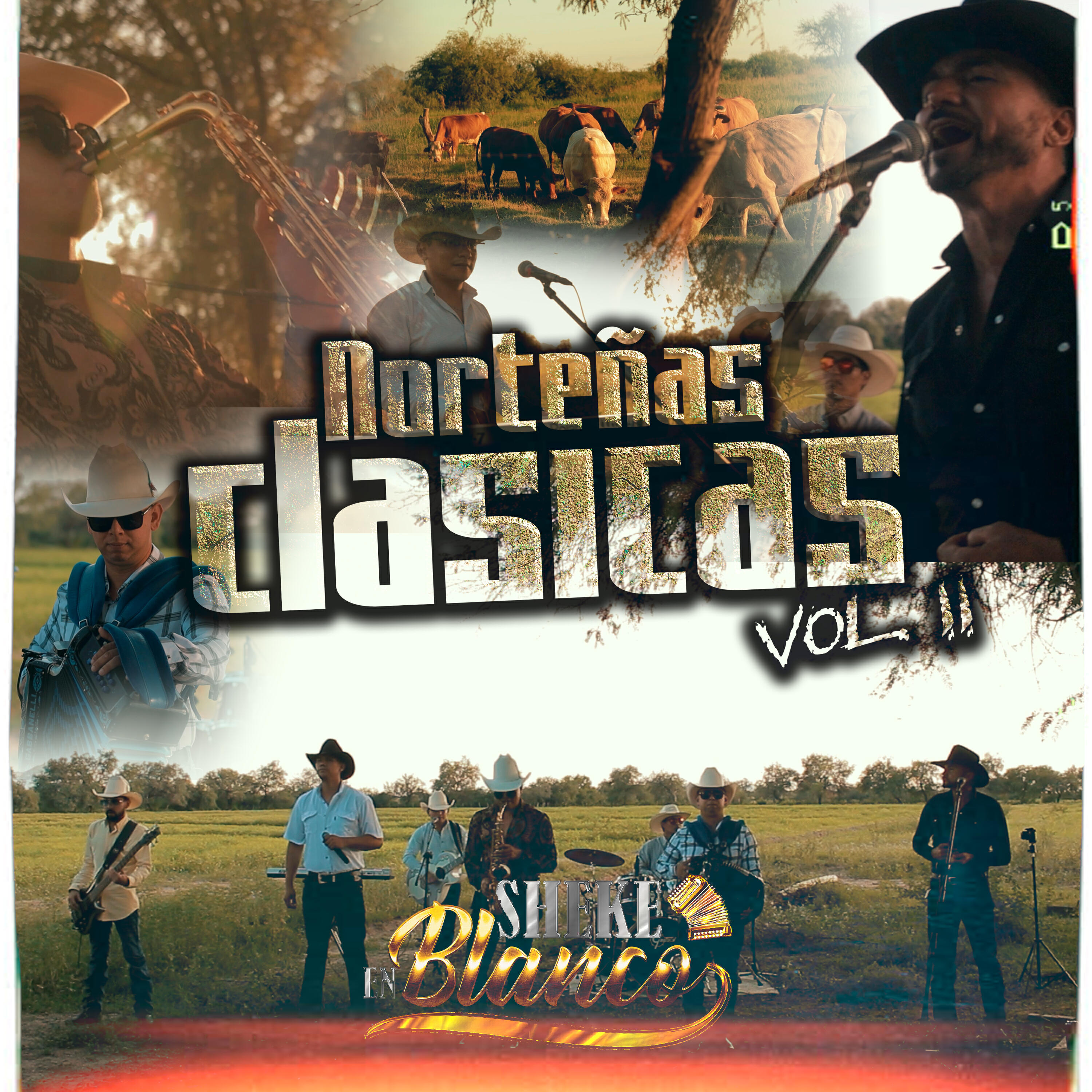 Релиз Norteñas Clasicas, Vol. II