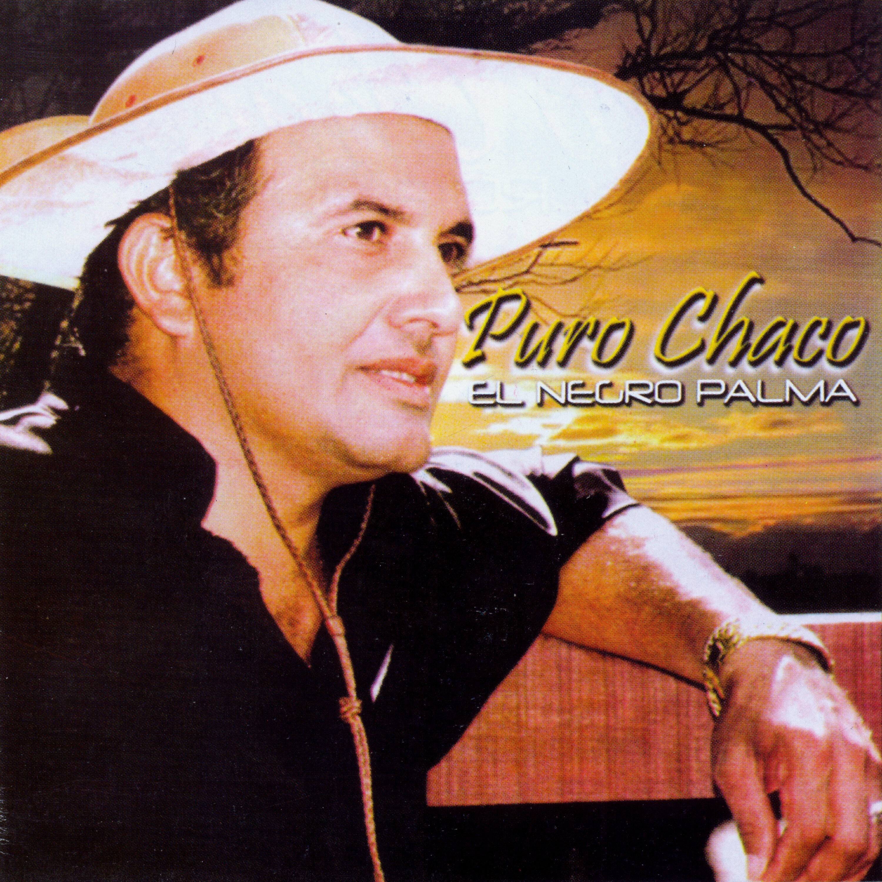Релиз Puro Chaco