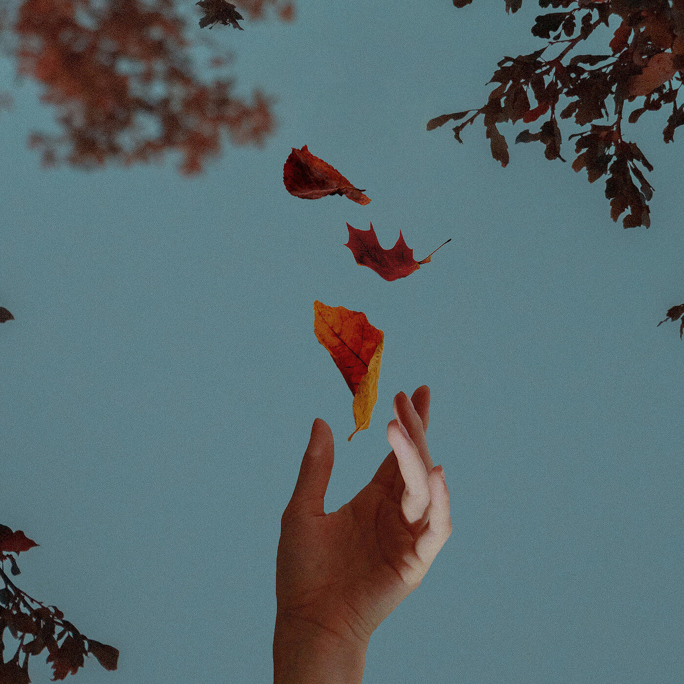 Релиз Let's Fall in Love
