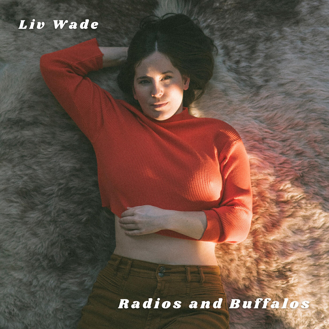Релиз Radios and Buffalos