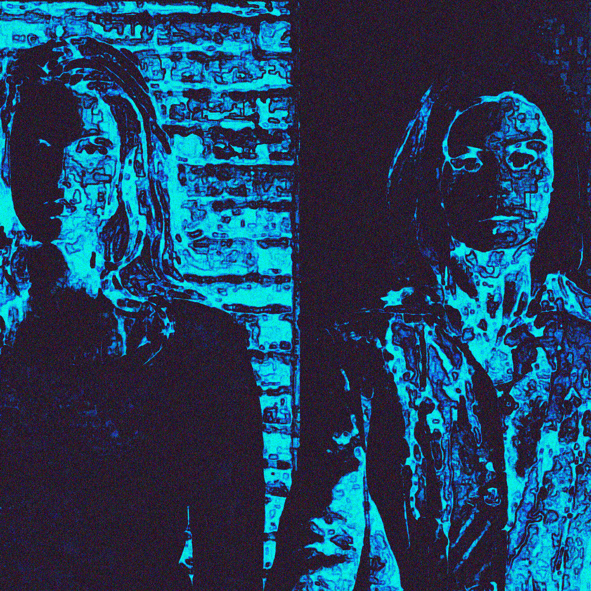 Релиз Blue Distortion