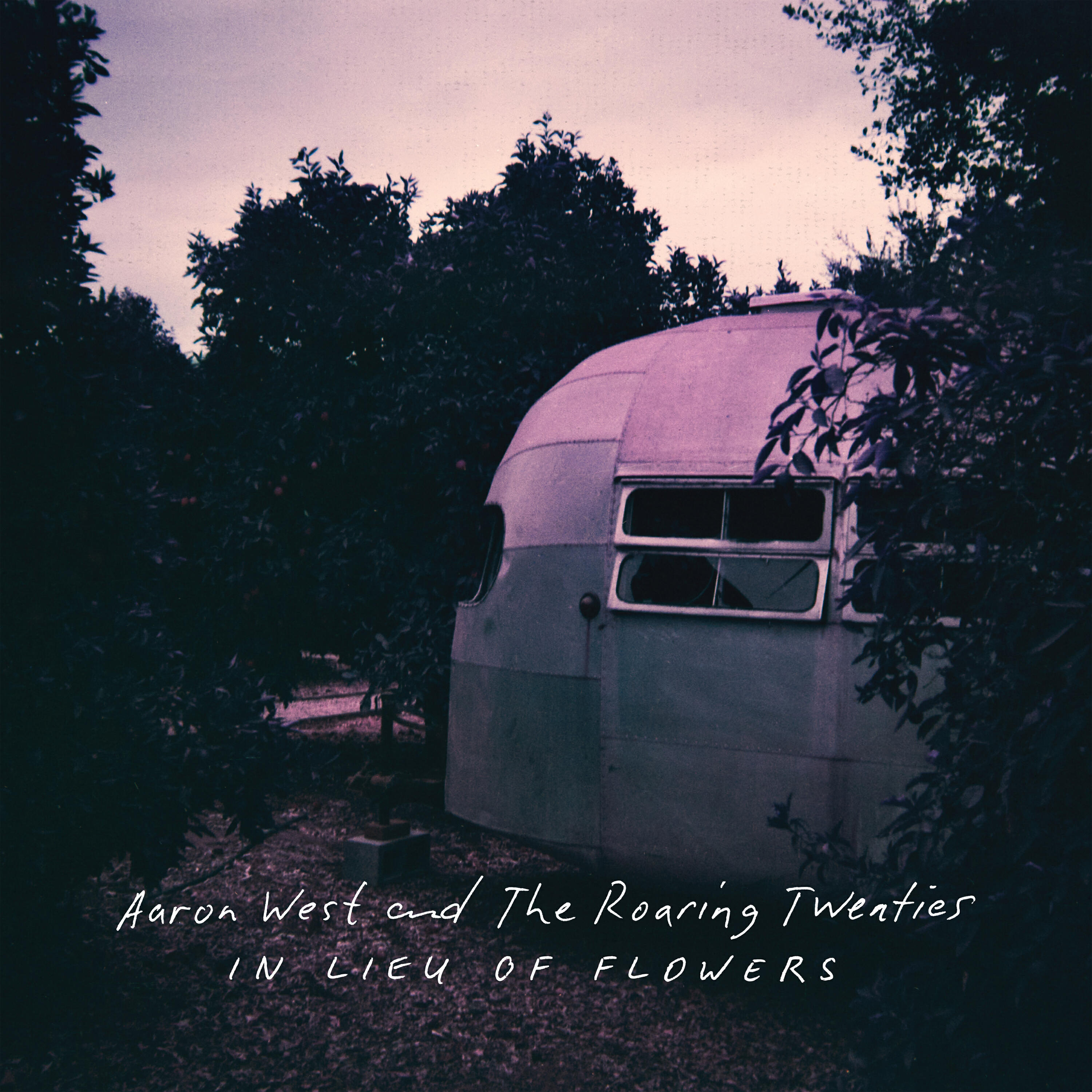 Релиз In Lieu Of Flowers