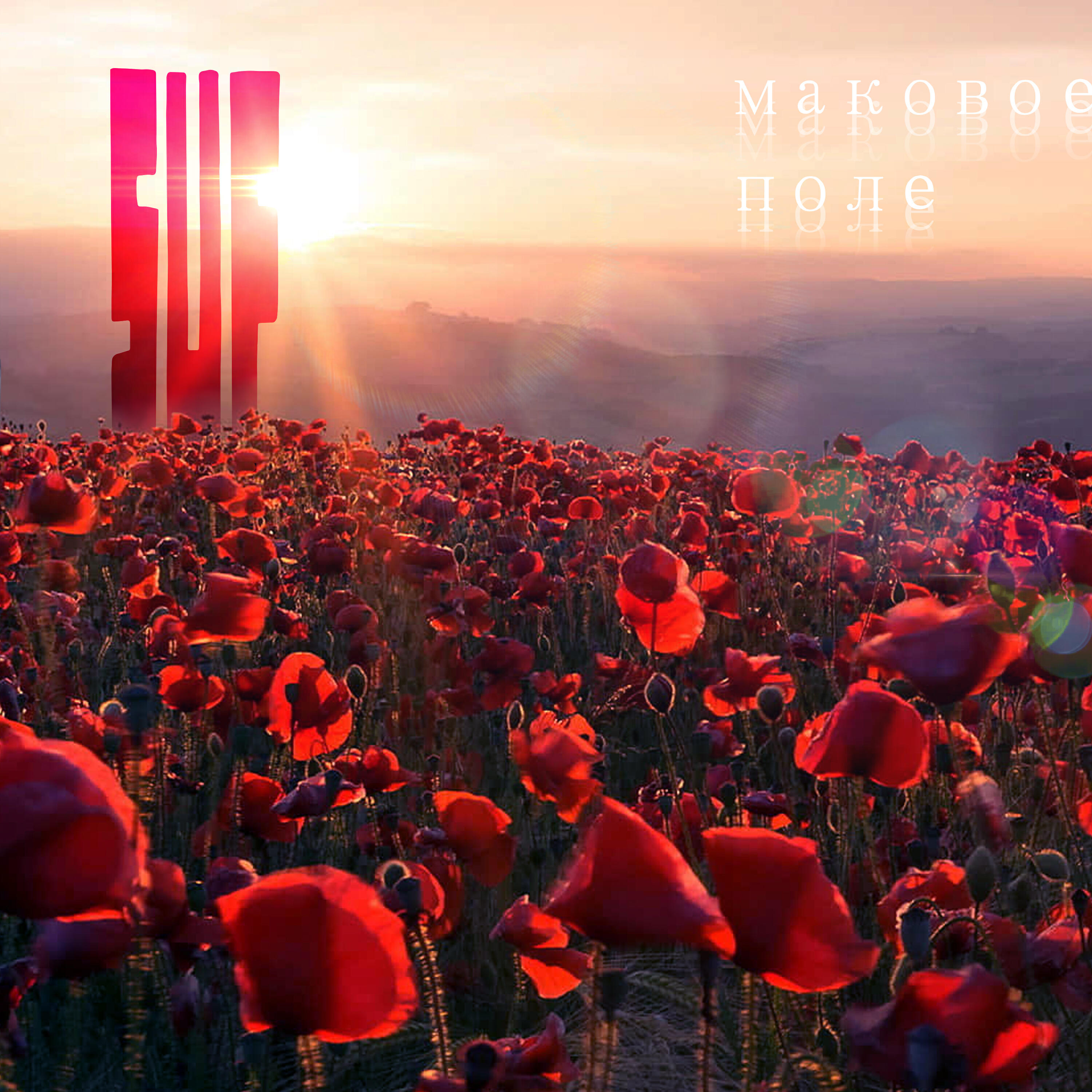 Релиз Маковое поле