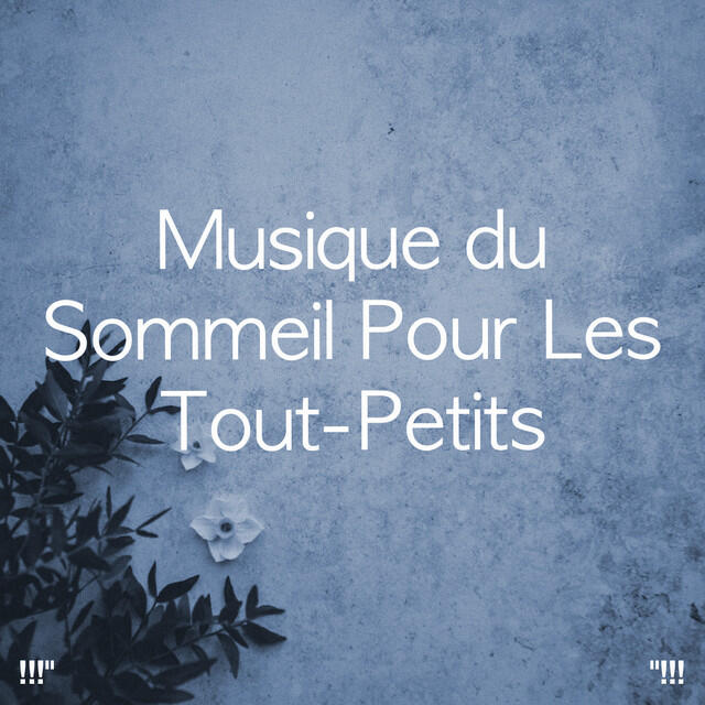 Релиз Musique du Sommeil Pour Les Tout-Petits