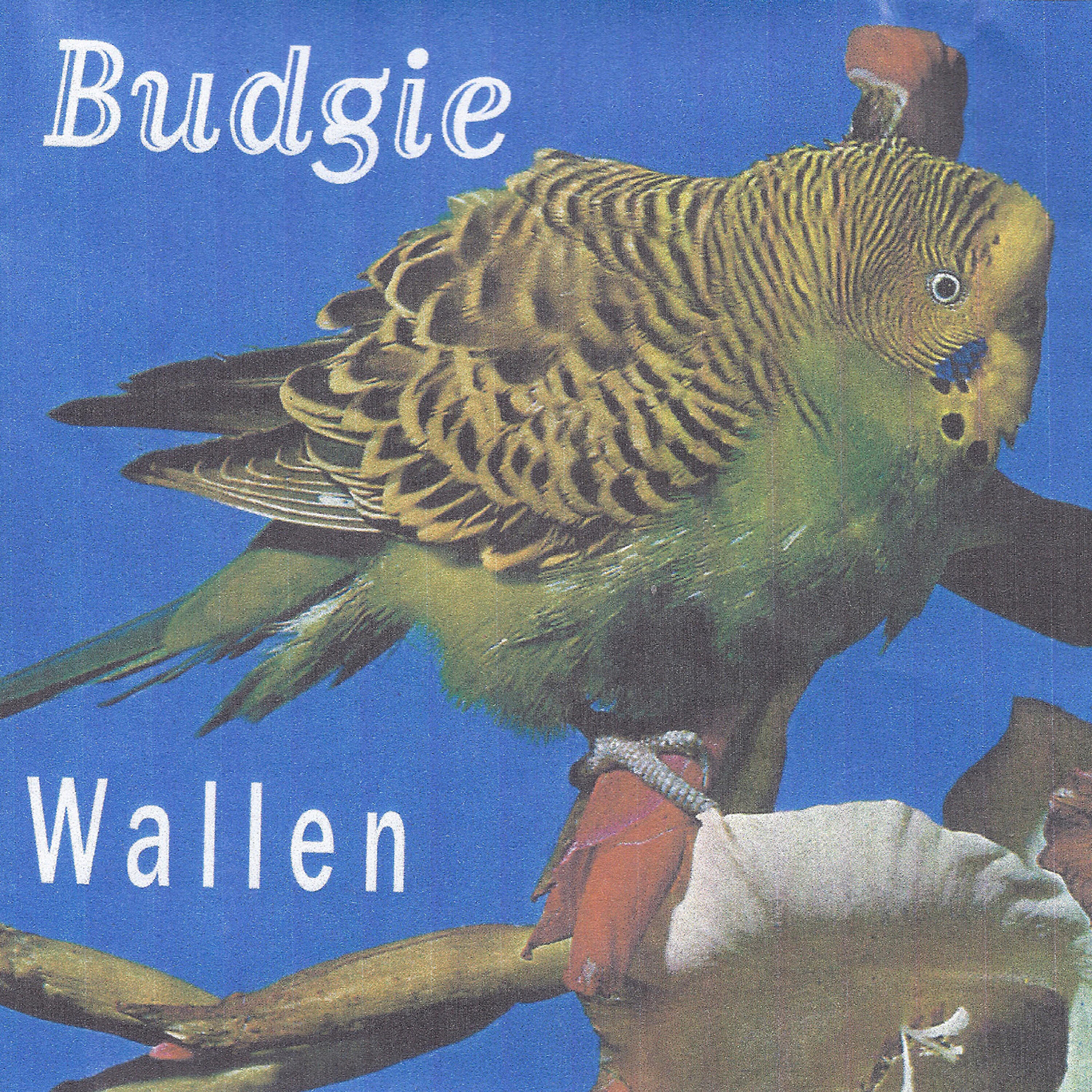 Релиз Budgie