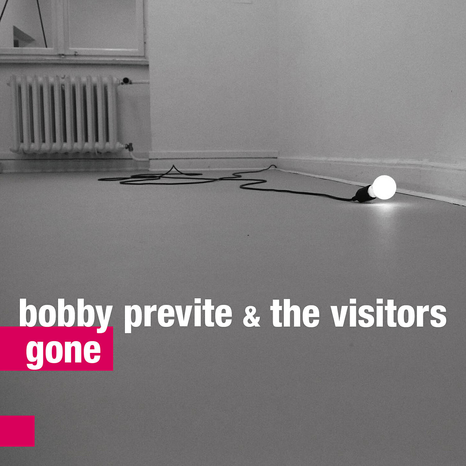 Bobby Previte / The Visitors