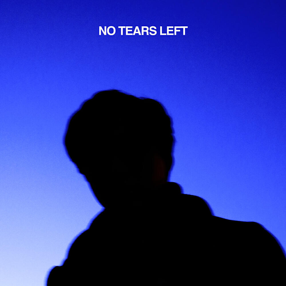 Постер альбома No Tears Left