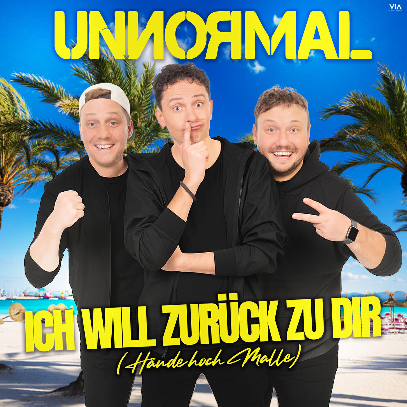 Релиз Ich will zurück zu dir (Hände hoch Malle)