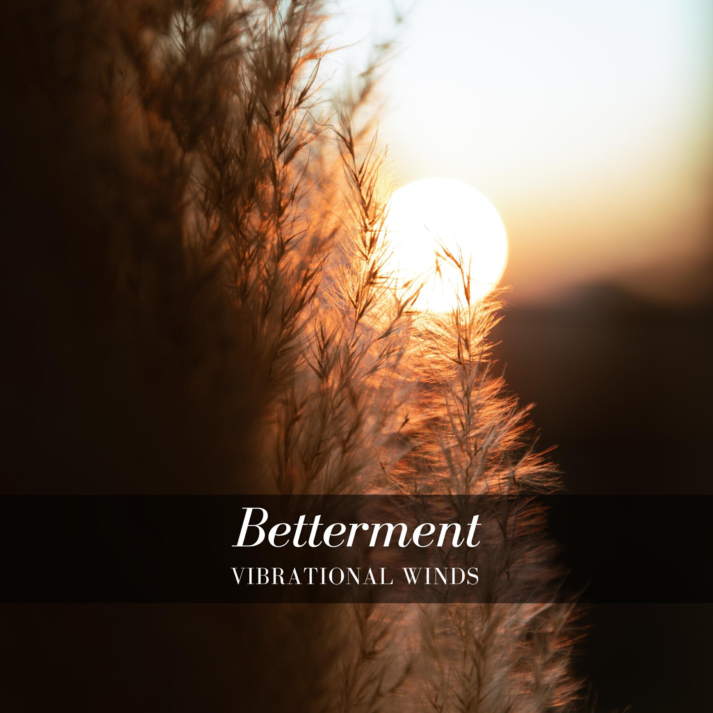 Релиз Betterment