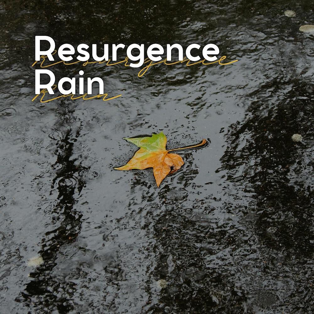 Постер альбома Resurgence Rain