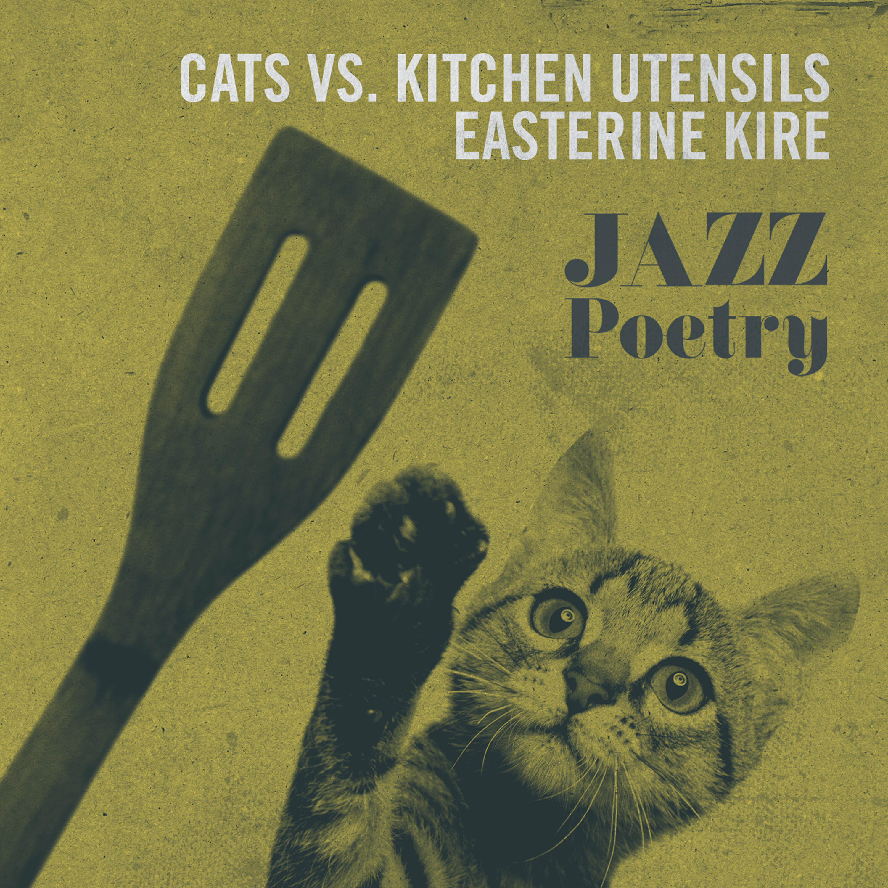 Cats vs. Kitchen Utensils