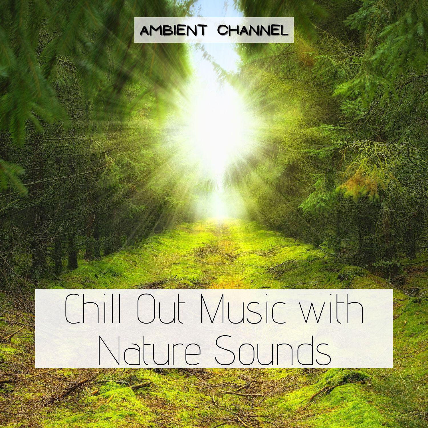 Релиз Chill Out Music with Nature Sounds