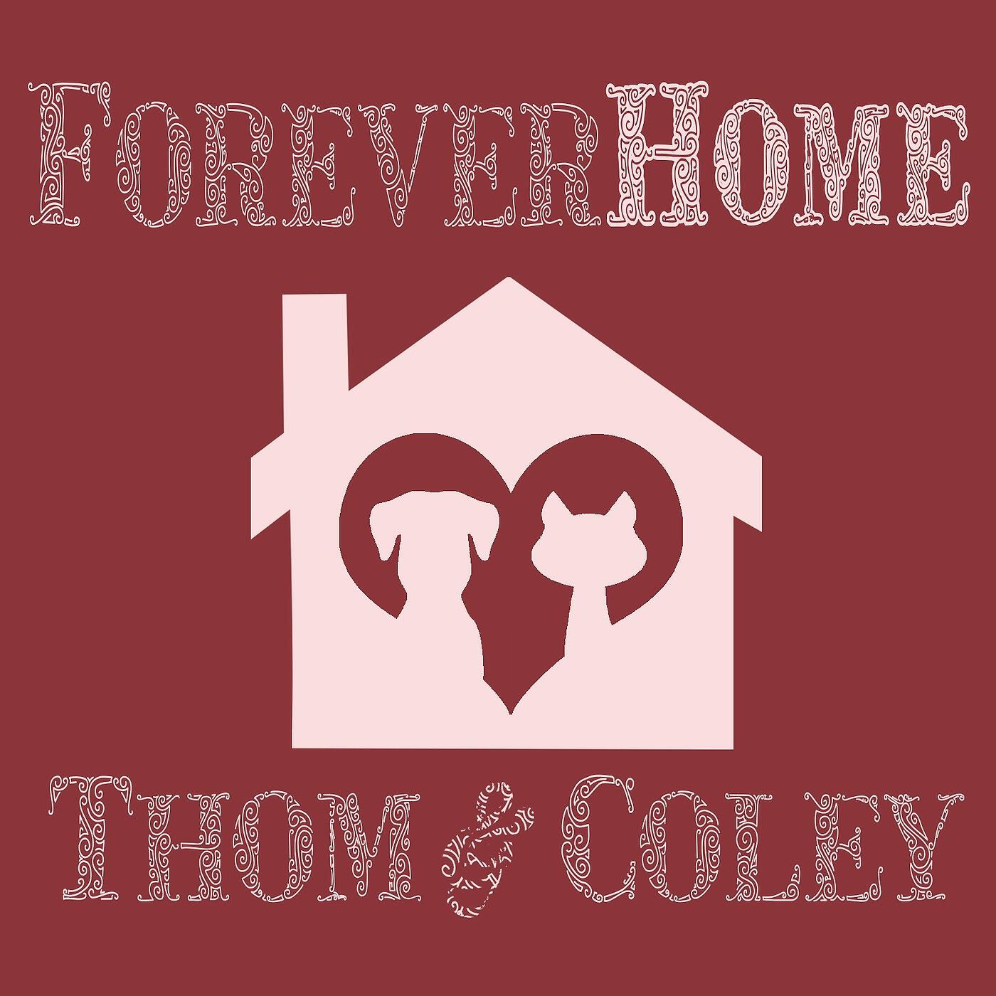 Релиз Forever Home