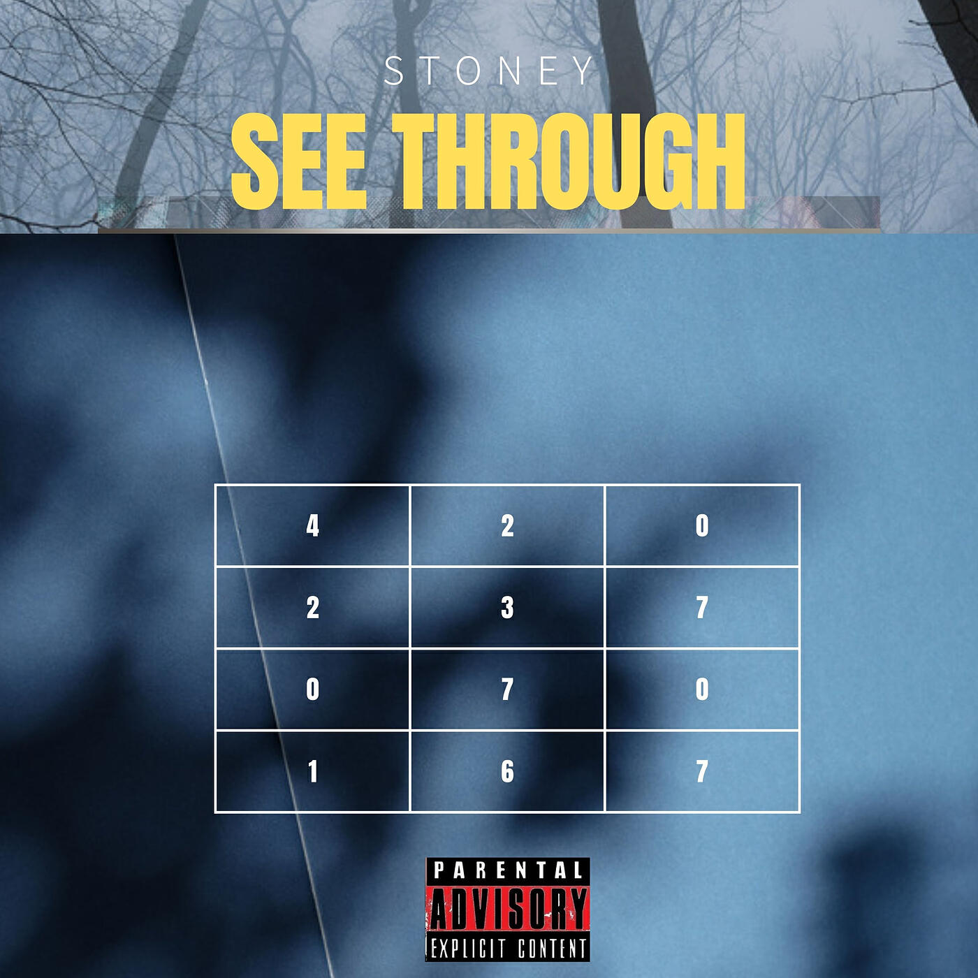 Релиз See Through