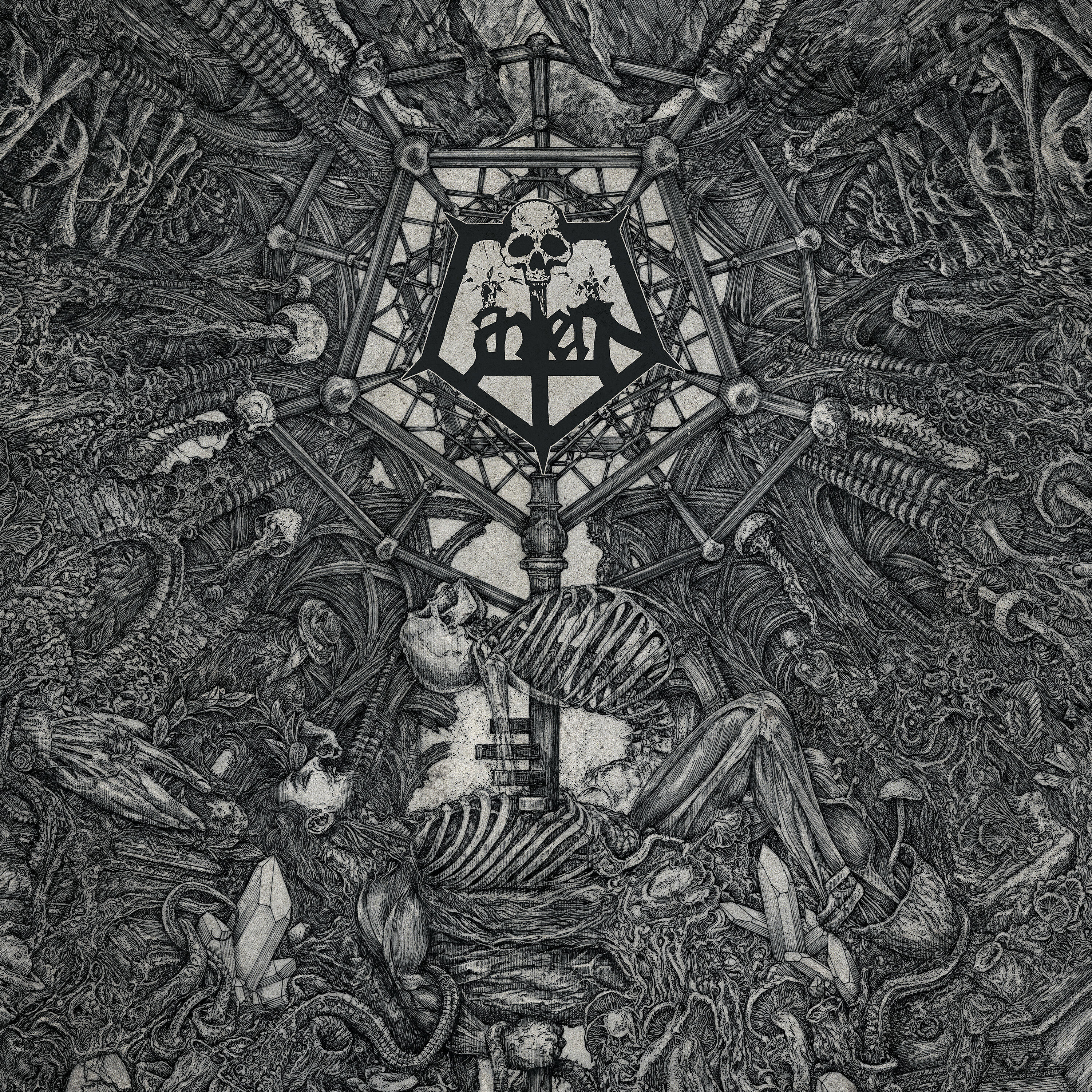 Релиз Ii: Morphosis