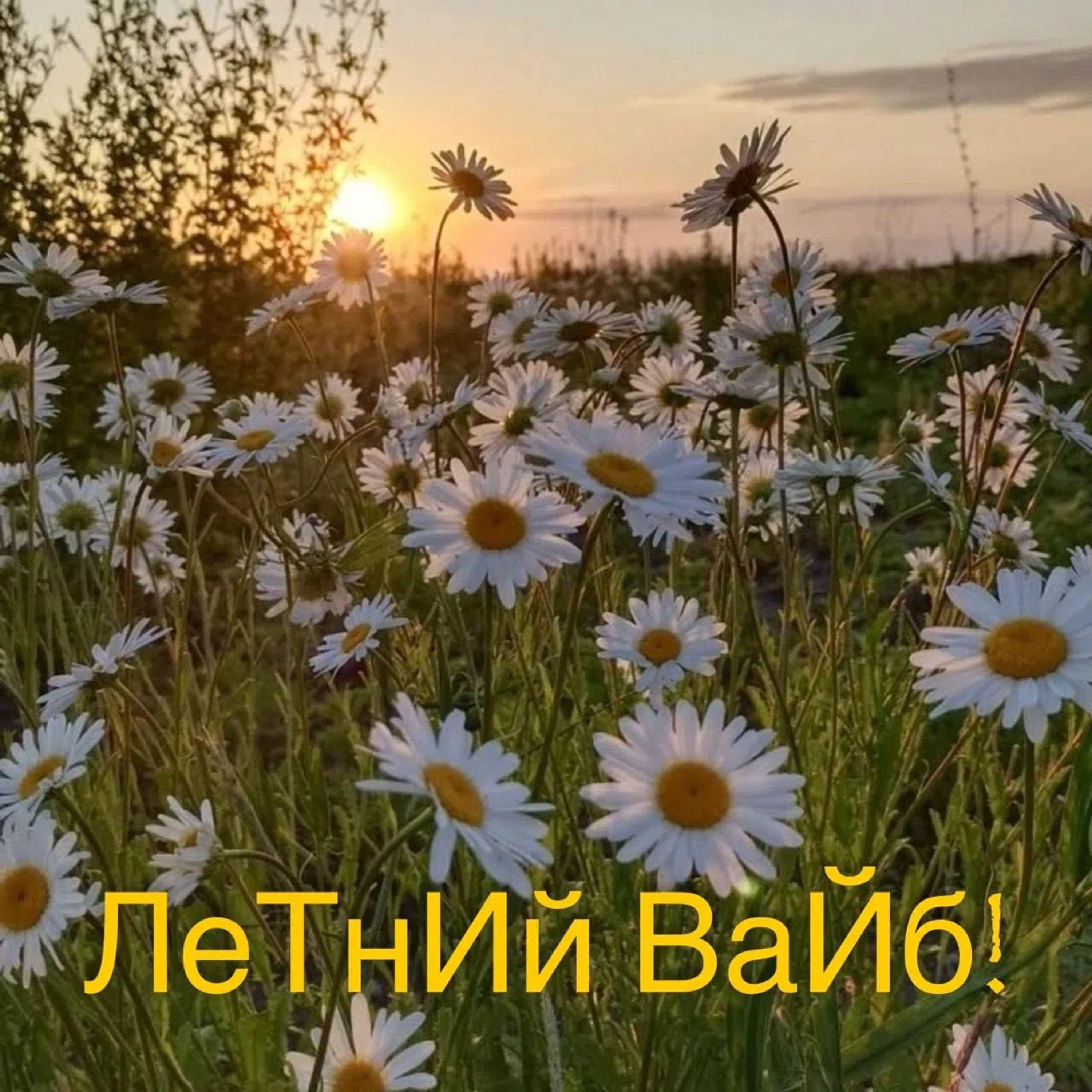 Релиз ЛеТнИй ВаЙб!