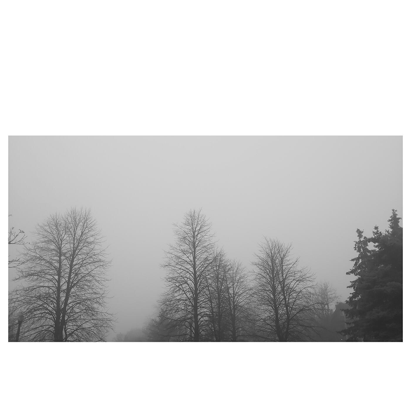 Релиз Not Far