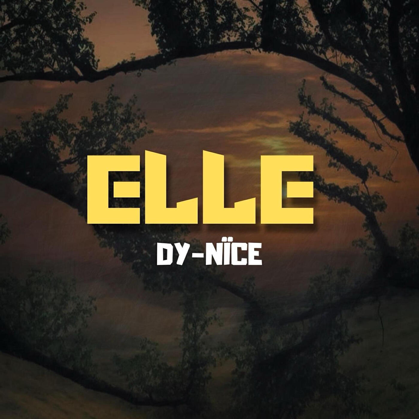 Релиз Elle