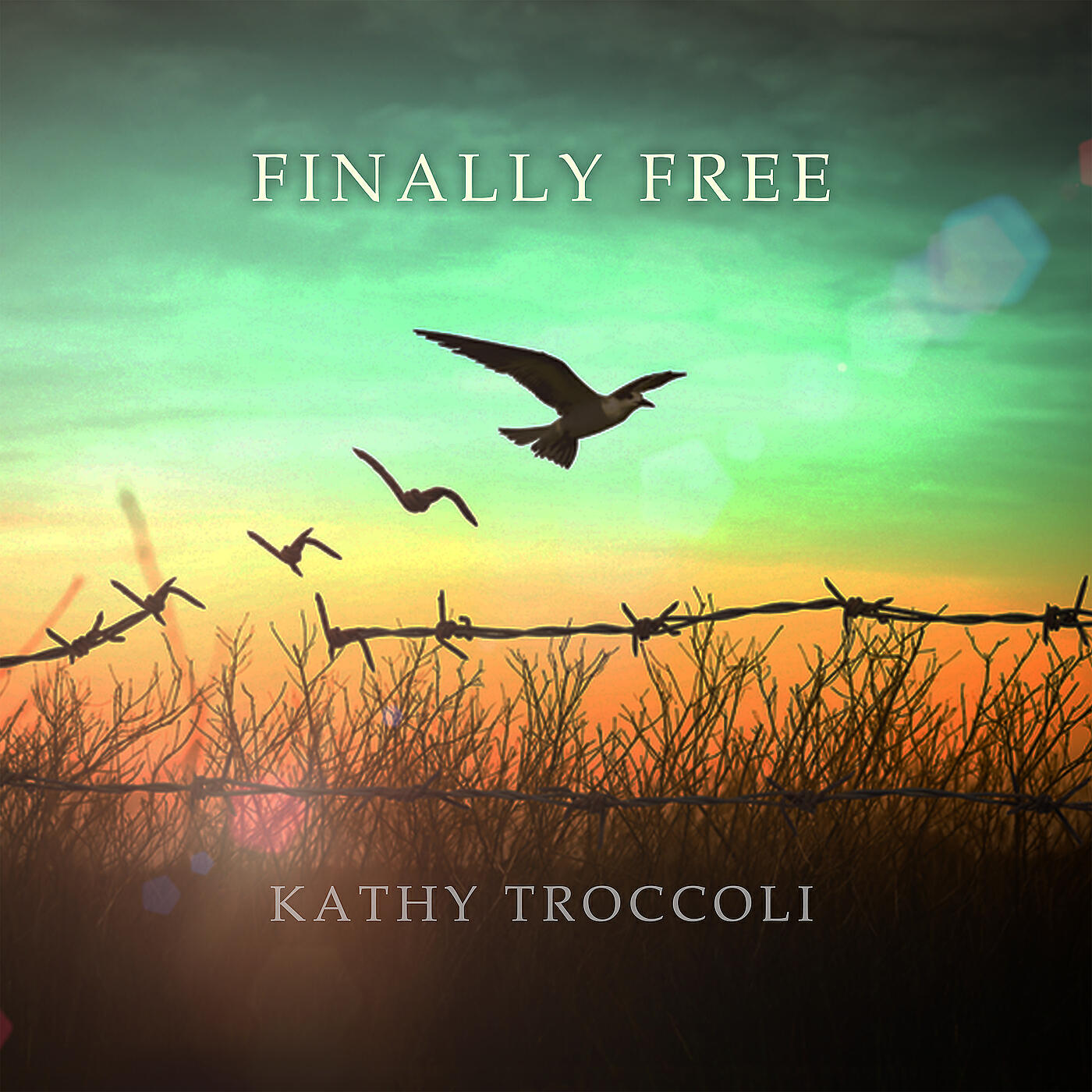 Релиз Finally Free