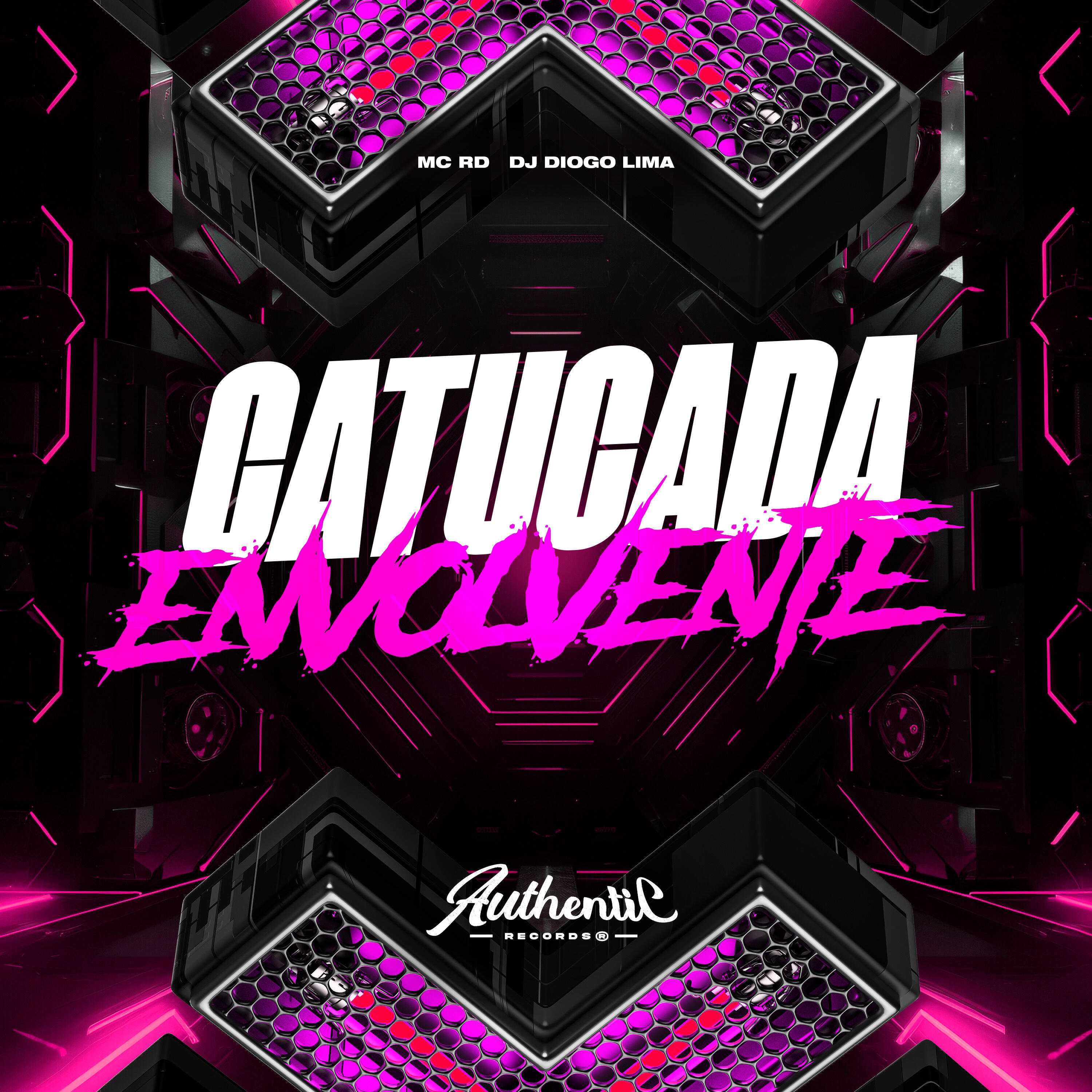 Постер альбома Catucada Envolvente
