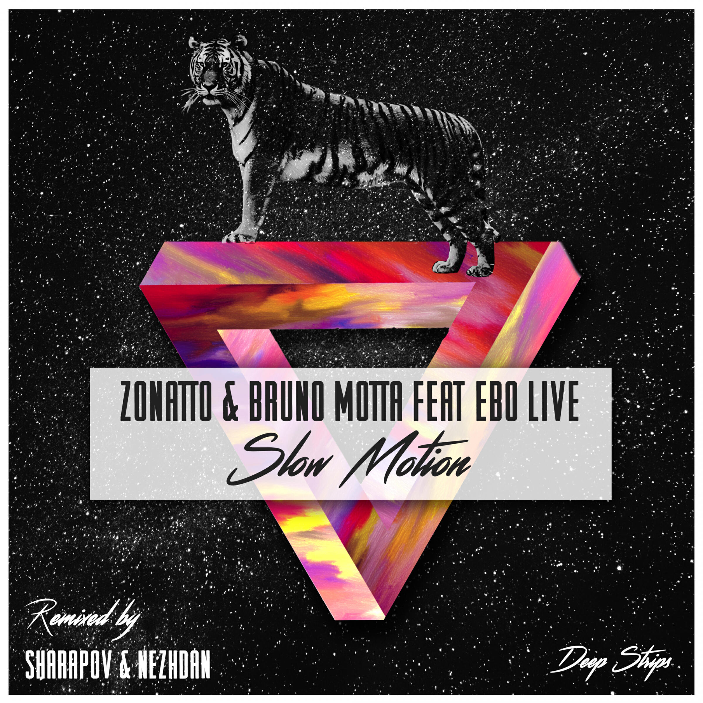 Релиз Slow Motion
