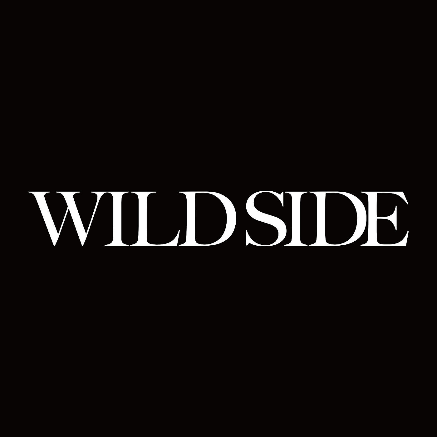 Релиз Wild Side (Anime Version)