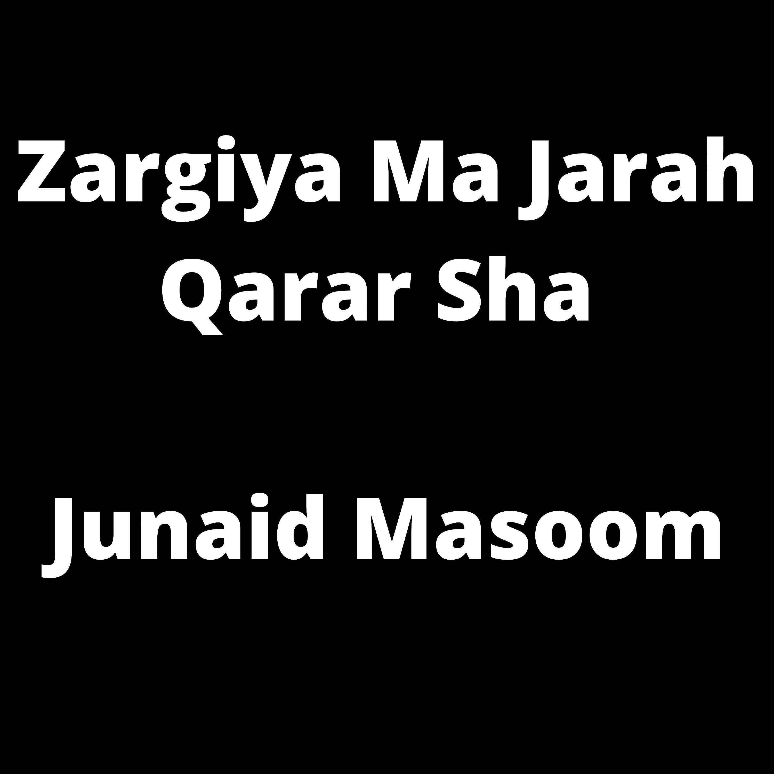 Релиз Zargiya Ma Jarah Qarar Sha